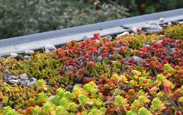 the cost of Eskadale green roof installation