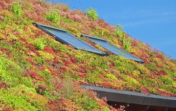 Eskadale living roof systems