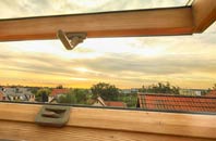rated Eskadale roof window companies